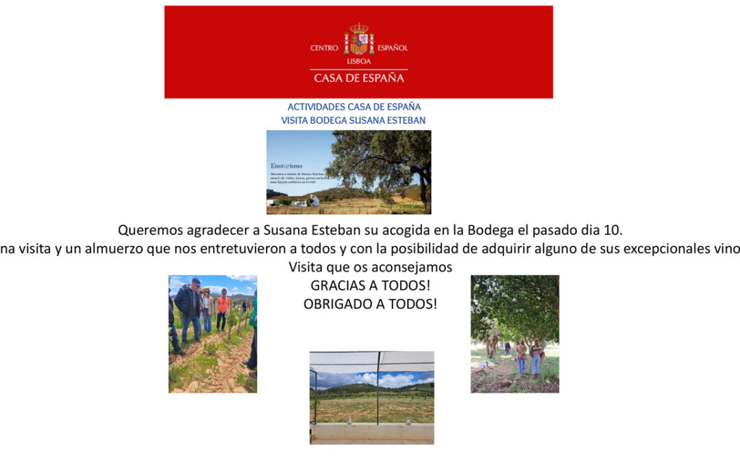 Visita Bodega Susana Esteban